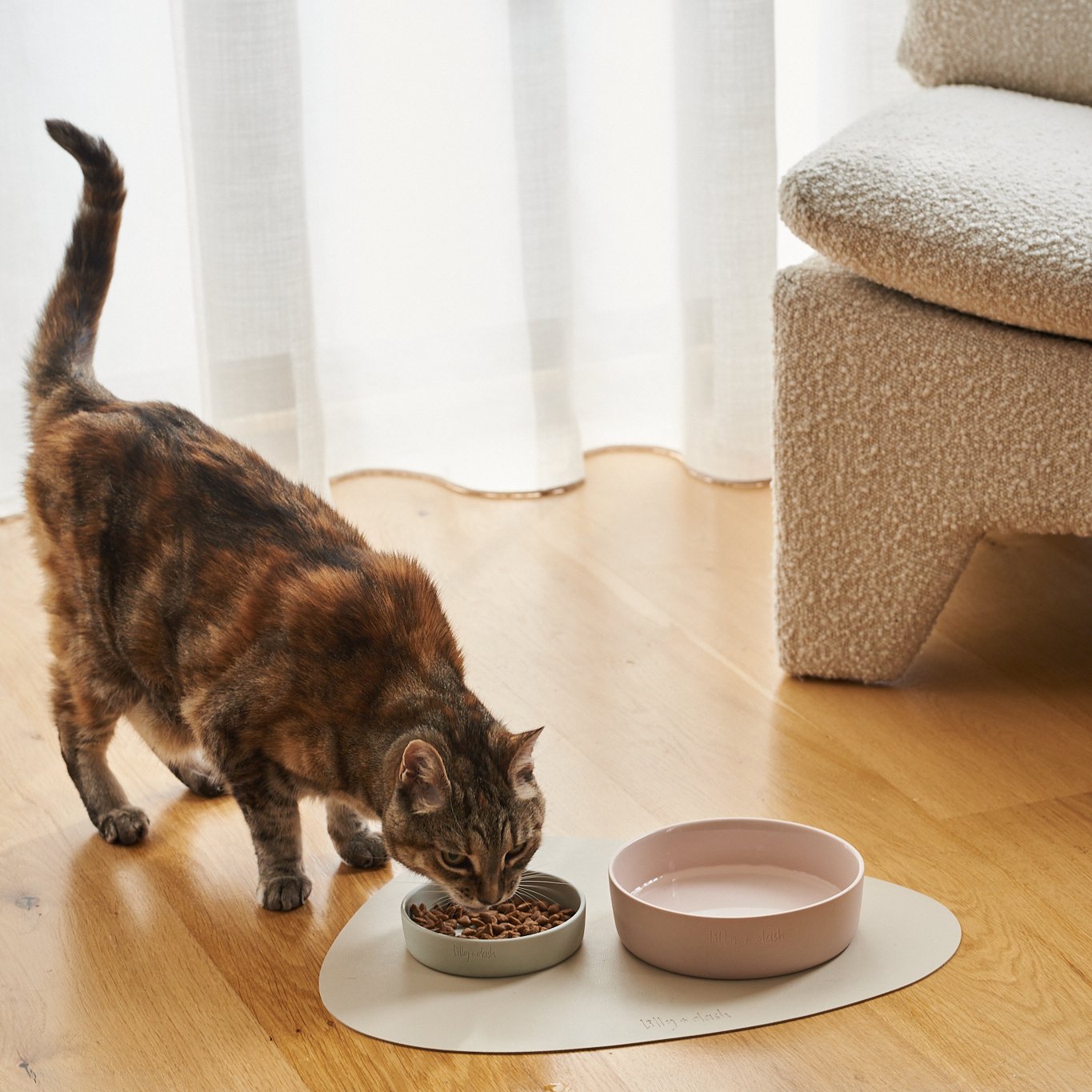 Cat Bowls & Feeder